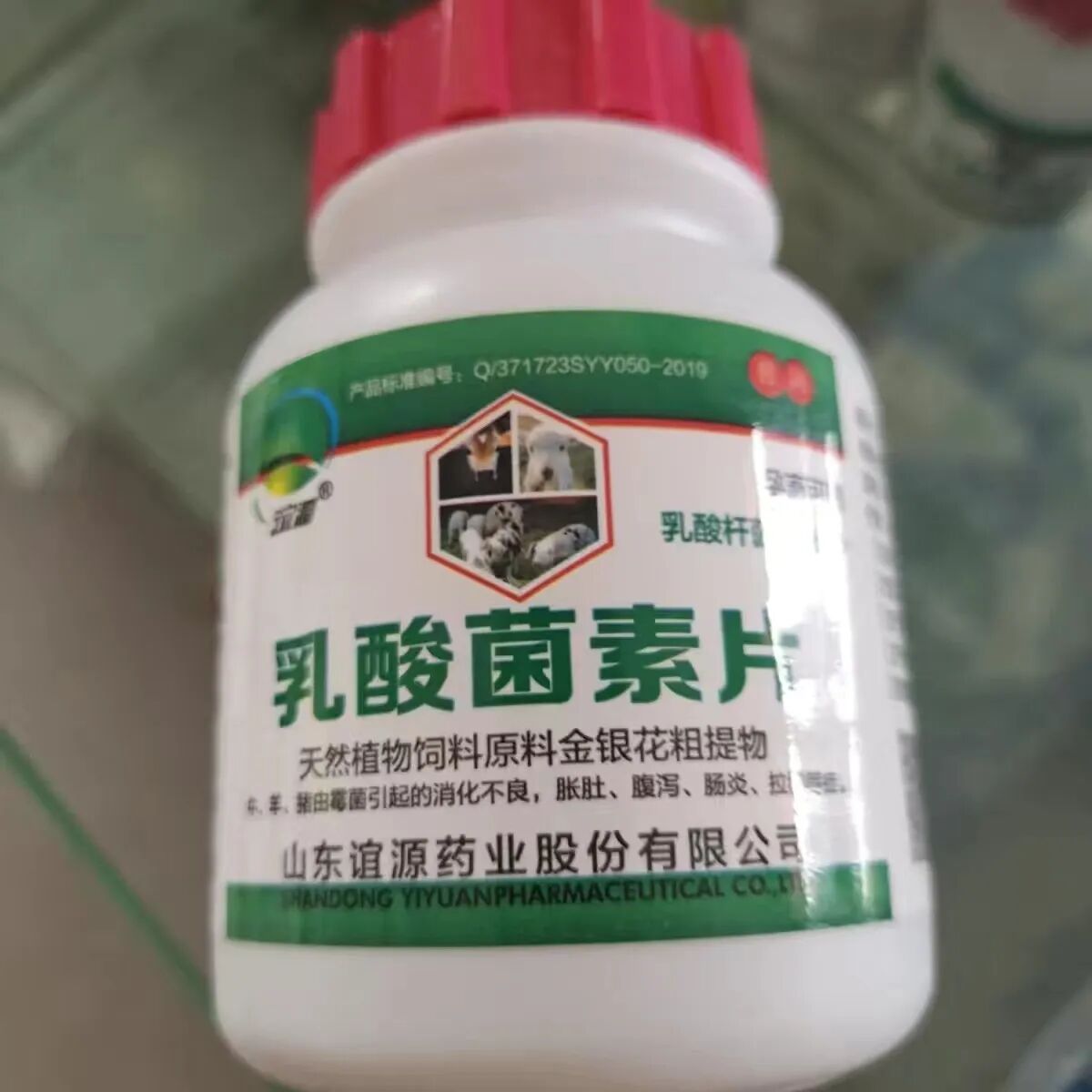 01-乳酸菌素片